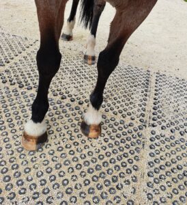 Why horse owners are choosing Jelka HIT Top Clean Mats for a cleaner, drier, healthier and safer winter.