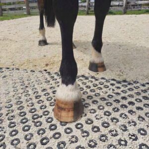 HIT Top Clean - Mud Mats